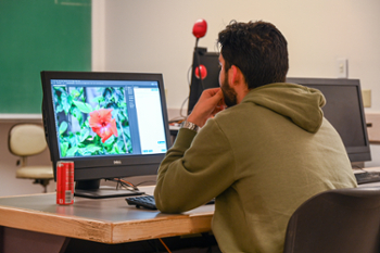 Image of a student in a green sweatshirt working on a design project on a computer. 